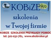 Szkolenie Kobize 2015, tel 502-032-782, raporty kobize, szkolenia
