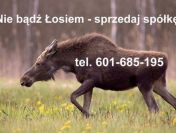 Kupię gotową spółkę. Tel. 601 685 195