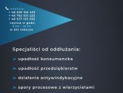 Upadłość Konsumencka - Oddłużanie