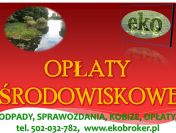 Obliczenie opłaty środowiskowej, cena, tel. 502-032-782. Wykaz, raport do urzędu
