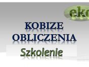 Szkolenie indywidualne BDO, Kobize, tel. 502-032-782 oraz opłaty za środowisko