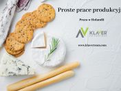 Oferty pracy na stanowiskach produkcyjnych w Holandii