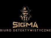 Biuro Detektywistyczne Sigma Katowice, Prywatny Detektyw
