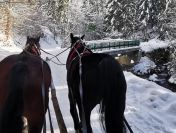 Kuligi rodzinne i firmowe w Wiśle – Anielskie Kuligi
