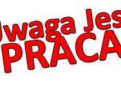 Praca w Holandii - sortowanie paczek kurierskich - Breda