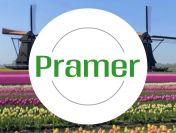 Pracownik sortowni cebulek - układanie skrzynek - bez języka - praca w Holandii