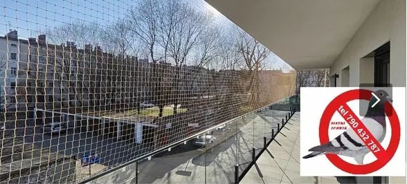siatka na balkon okna przeciw gołębią ptakom, dla kotka Opole - Zdjęcie 1