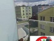 Siatka balkon kot gołąb Ludwik Opole 790432787