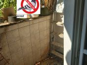 Czyszczenie sprzątanie po gołębiach