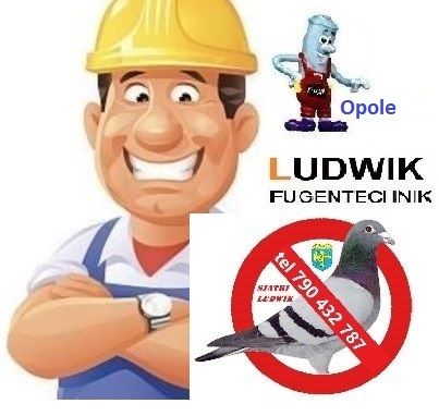 Siatki fugi brodziki kabiny prysznicowe Opole - Zdjęcie 1