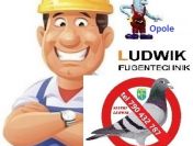 Siatki fugi brodziki kabiny prysznicowe