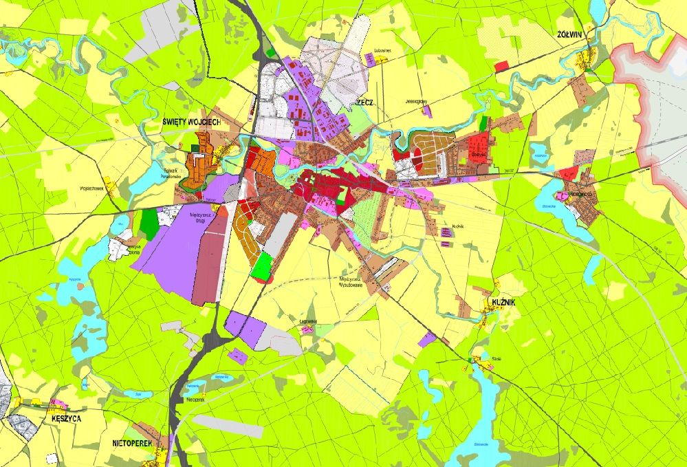 Inwentaryzacja przyrodnicza, raport środowiskowy, cennik  - Zdjęcie 1