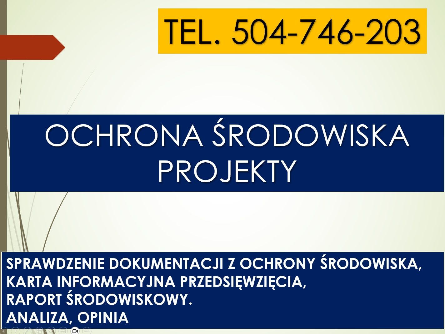 Uzyskanie decyzji środowiskowej na wycinkę, tel. 504-746-203, usunięcie drzew  - Zdjęcie 1