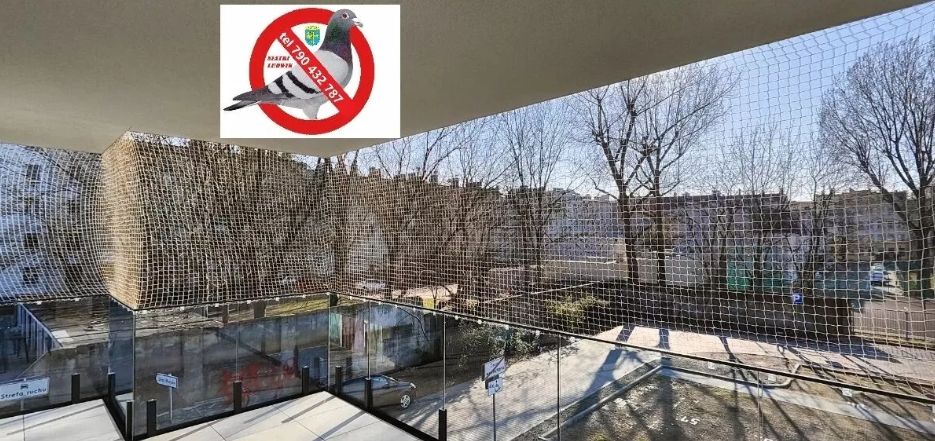 Opole siatka dla kota na gołębie Ludwik 790432787 Opole - Zdjęcie 1