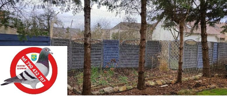 Siatka tarasy woliery dla kota psa ptaki Ludwik 790 432 787 Opole - Zdjęcie 1