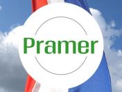 Pracownik zbioru papryki - dla par - praca w Holandii