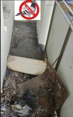 Opole czyszczenie balkonu po gołębiach Opole - Zdjęcie 1