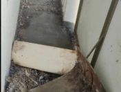 Opole czyszczenie balkonu po gołębiach