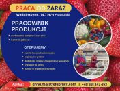 Praca na sortowni warzyw i owoców w Holandii - bez języka (M/K)