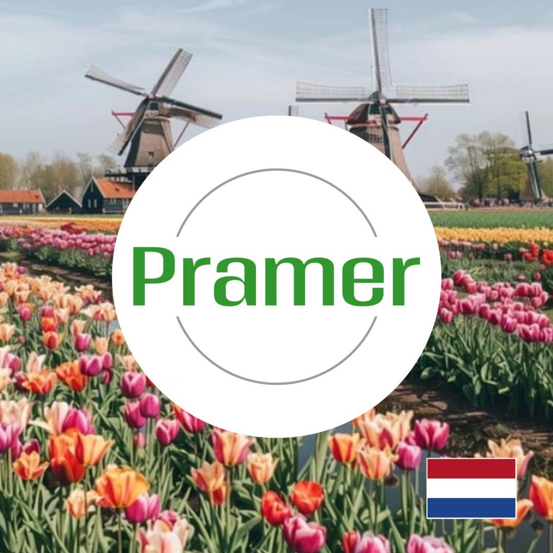 Pracownik produkcji szyb  - praca w Holandii  - Zdjęcie 1