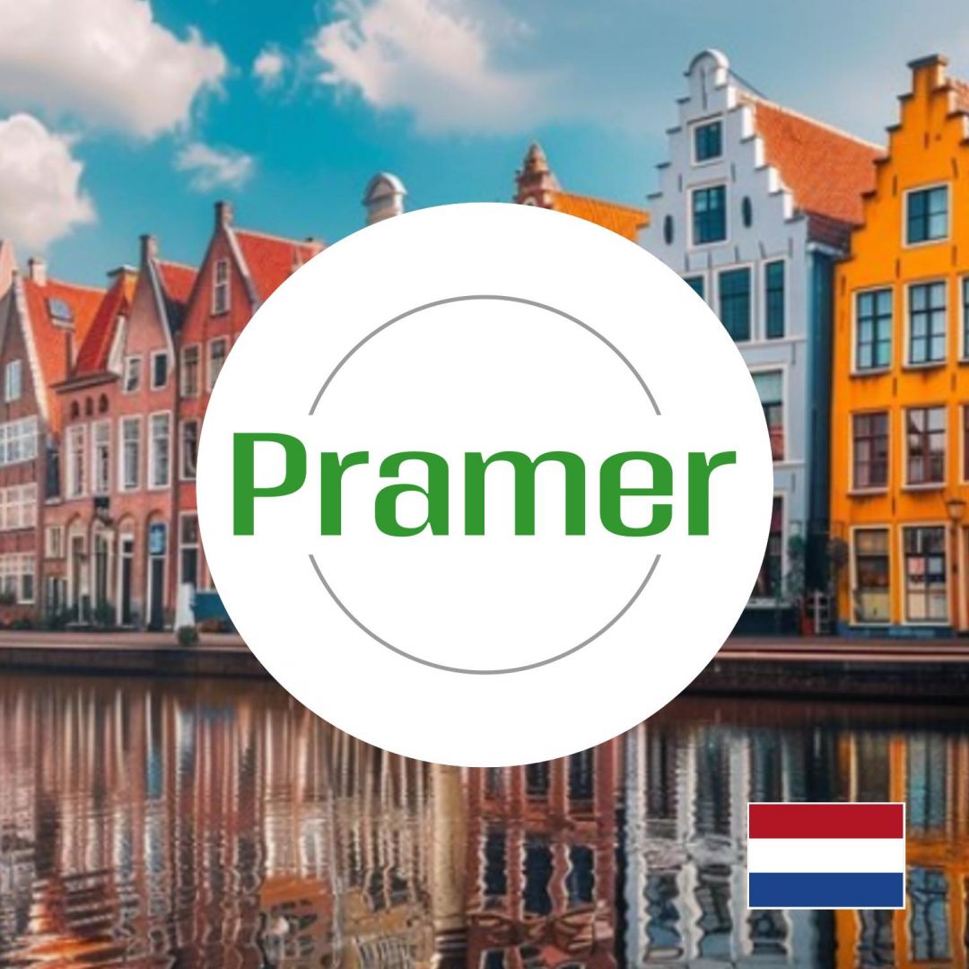 Pracownik szklarni z kwiatami - od zaraz - praca w Holandii  - Zdjęcie 1