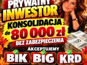 Konsolidacja BIK/BIG/KRD/ZUS/US – Prywatny inwestor do 80 tys
